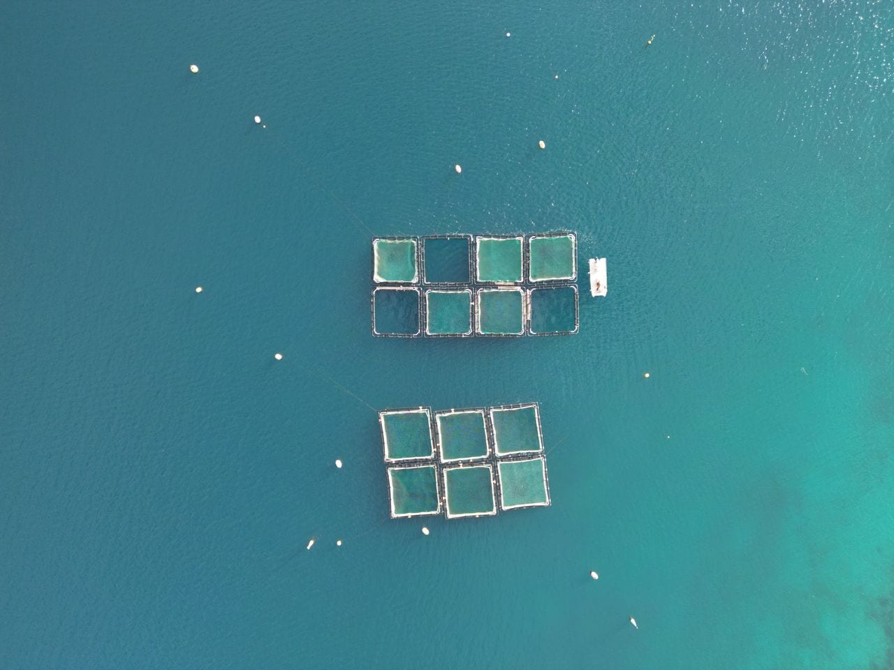 Aerial view of a modern fish farm laid out in the water